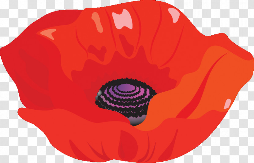 Red Poppy Flower Poppy Flower Transparent PNG