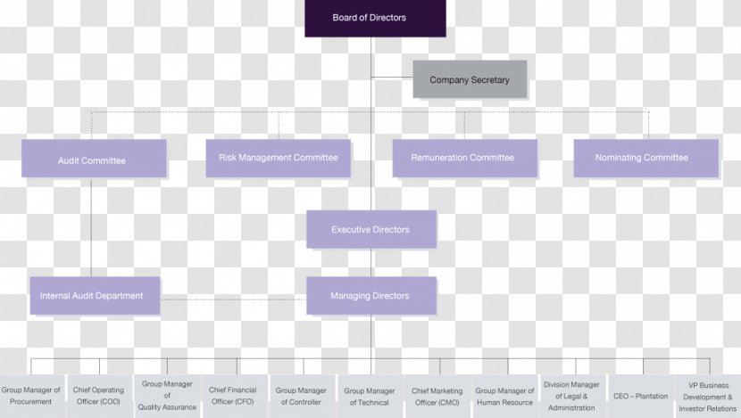 Organizational Chart Business Innovation Structure - Description Transparent PNG