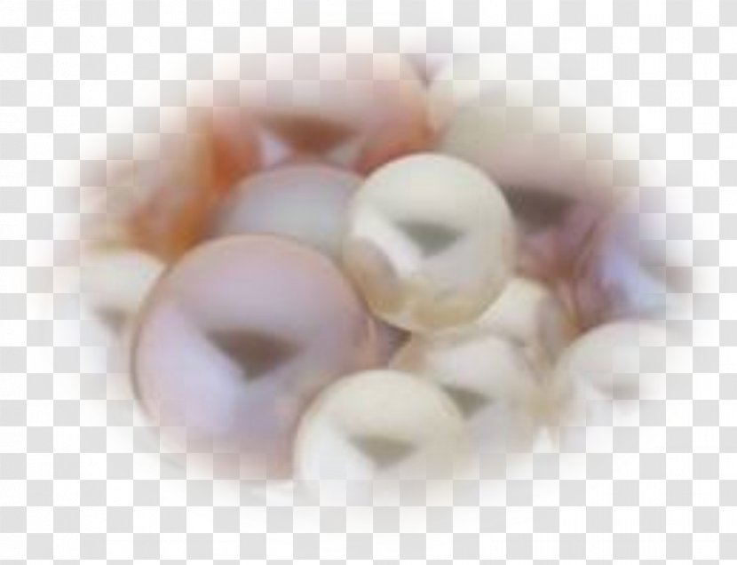 Pearl Gift - Jewelry Making - Perle Transparent PNG