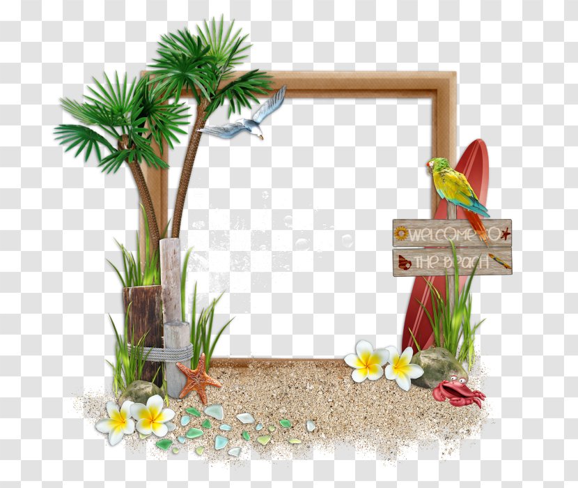Flora Up August Sea July - Bungalow Frame Chasis Beach Transparent PNG