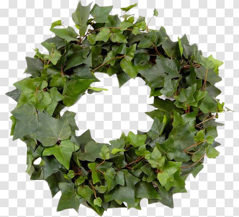 Leaf Wreath Garland Crown - Plant - Green Leaves Ring Transparent PNG