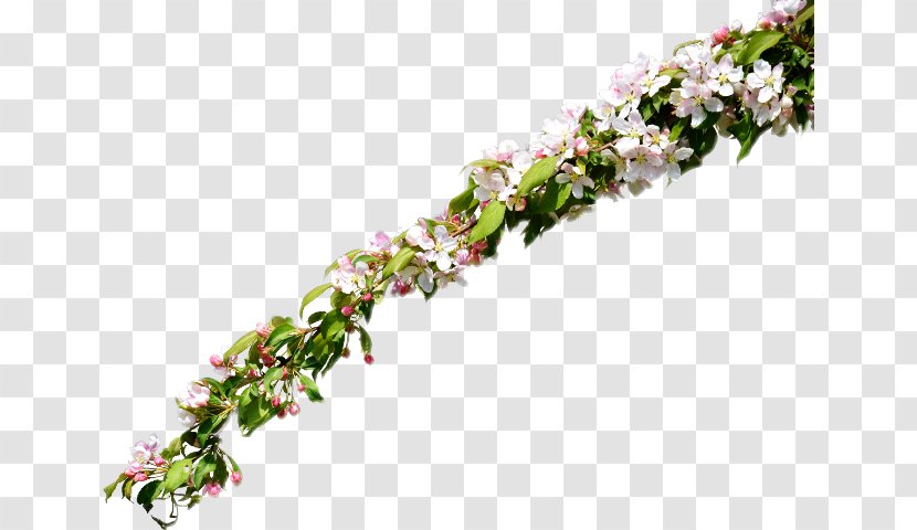 Flower Floral Design Twig Clip Art - Stock Photography Transparent PNG