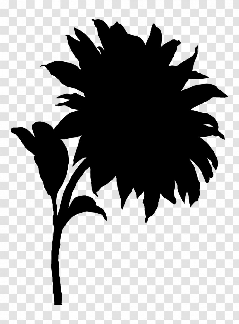 Flowering Plant Silhouette Leaf Branching - Sunflower - Stencil Transparent PNG