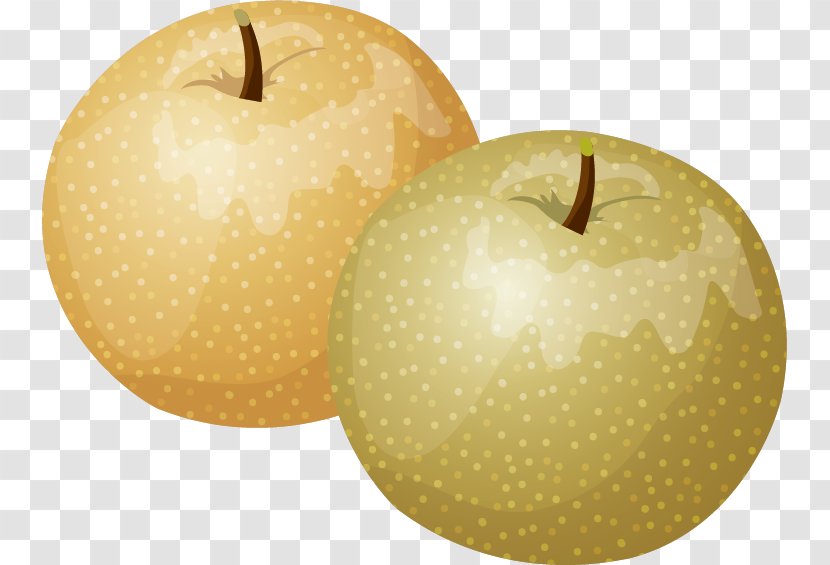 Asian Pear Apple Transparent PNG