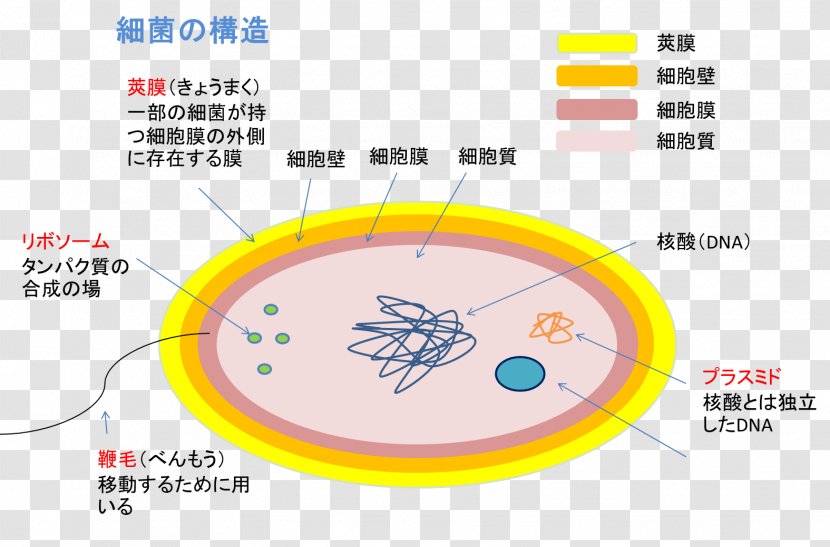 Line Angle - Diagram Transparent PNG