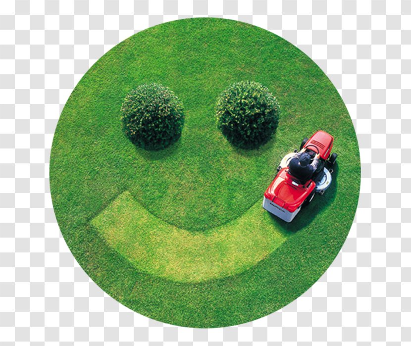 Four Seasons Lawn Care-Nrv Inc Mowers Weed Control Landscaping - Golf Ball - Mowing Transparent PNG
