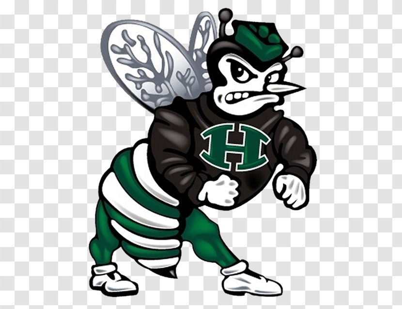 Haines City High School Hornet Huntsville Sport National Secondary - Art Transparent PNG