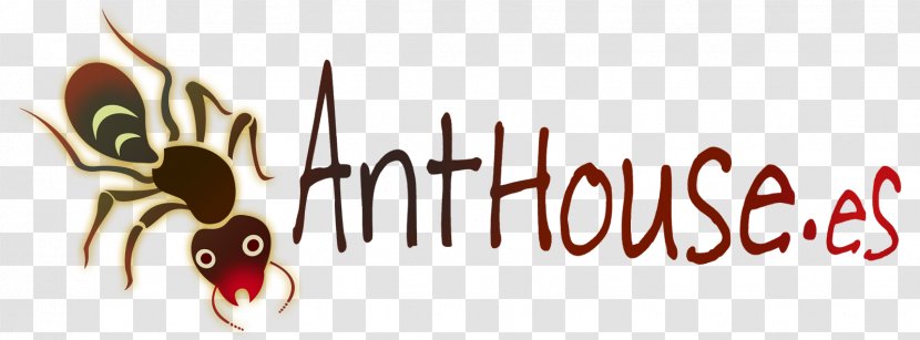 Ant Colony Anthouse.es Black Garden Messor Barbarus - Organism - Hormiga Transparent PNG