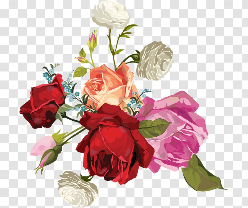 Garden Roses Cabbage Rose Flower Bouquet Cut Flowers - Transparent Transparent PNG