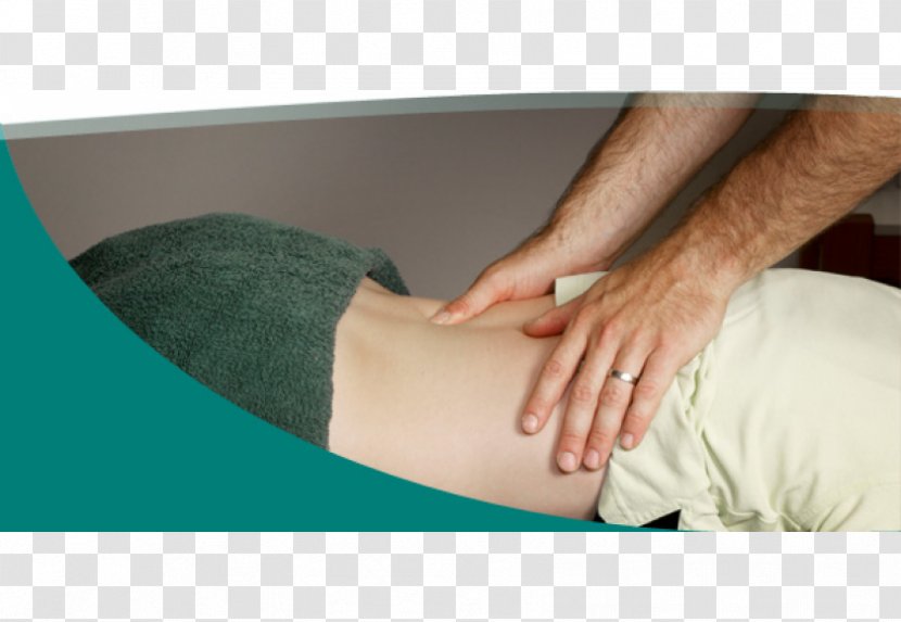 MTM Physiotherapy Warwick Physical Therapy Back Pain Massage Transparent PNG