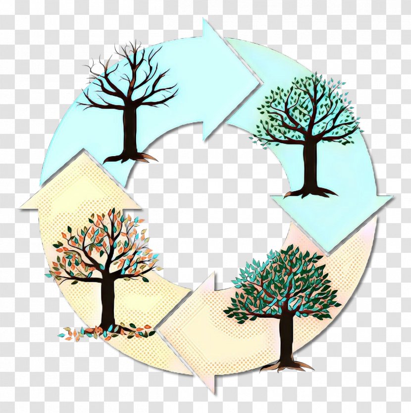 Autumn Leaf Drawing - Pine Family - Winter Transparent PNG