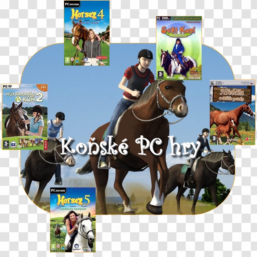 Imagine: Champion Rider Wii My Horse & Me 2 Horsez English Riding - Equestrian Sport - Star Stable Transparent PNG