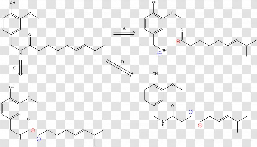 Diazepam Printer-friendly Drug Metabolism Information CYP2D6 - Diagram Transparent PNG