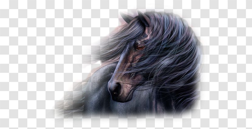 Desktop Wallpaper Download Arabian Horse Computer - Mustang - Hores Transparent PNG