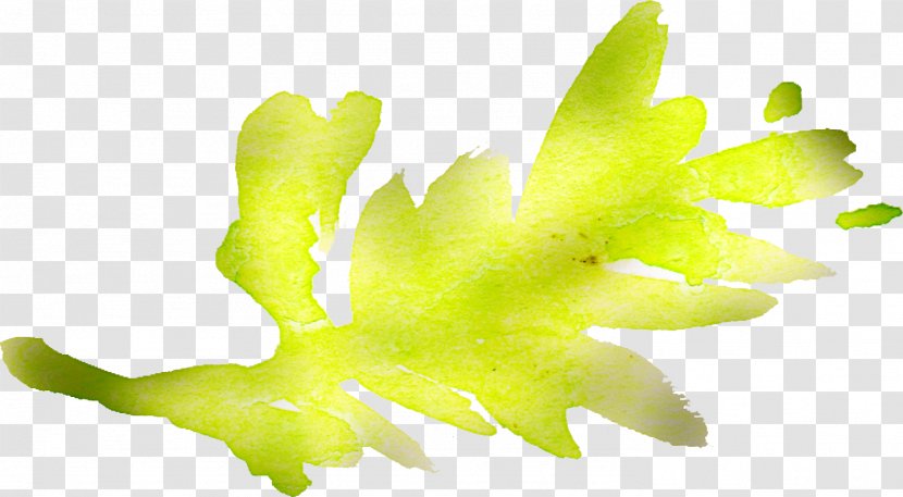 Leaf Plant Stem Desktop Wallpaper Yellow - Organism - Watercolor Flowers Transparent PNG