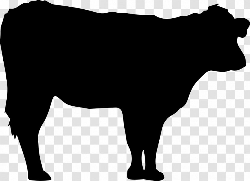 Jersey Cattle Angus Black Hereford - Beef - Dairy Cow Transparent PNG