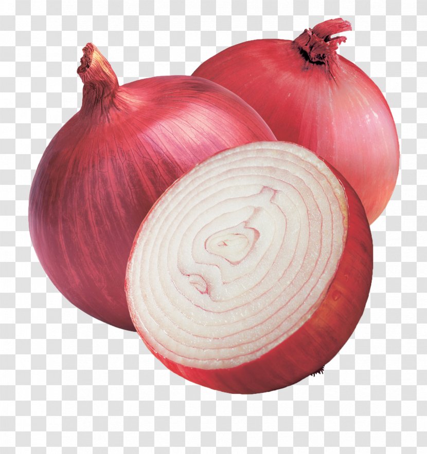 Red Onion Vegetable White Food - Seed Transparent PNG