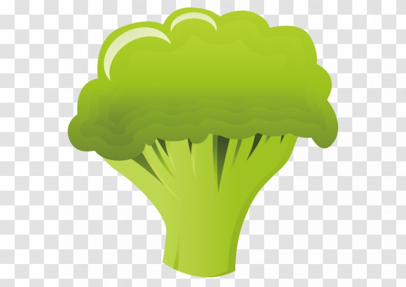 Broccoli Cauliflower Food Illustration - Grass - Vector Transparent PNG