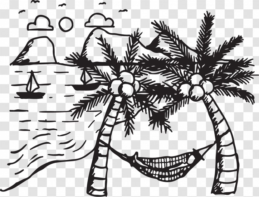 Coconut Tree Arecaceae Drawing - Woody Plant - Hammock Transparent PNG