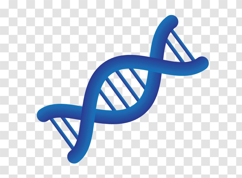 Medical Genetics Personalized Medicine Chromosome - Developmental Psychology Transparent PNG