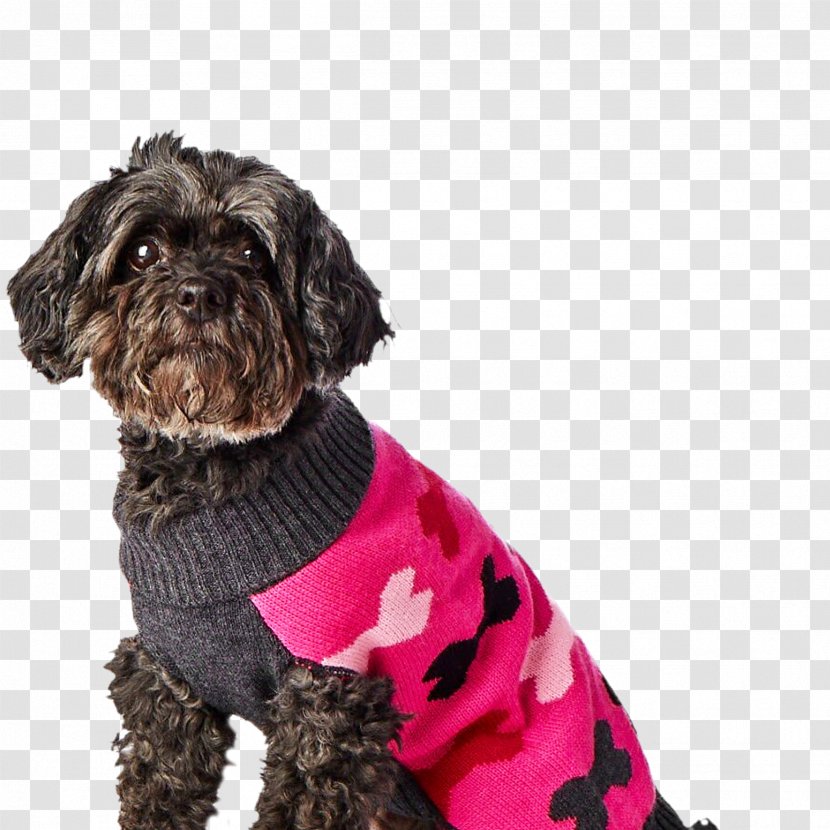 Schnoodle Affenpinscher Dog Breed Companion Clothes - Hotel Transparent PNG