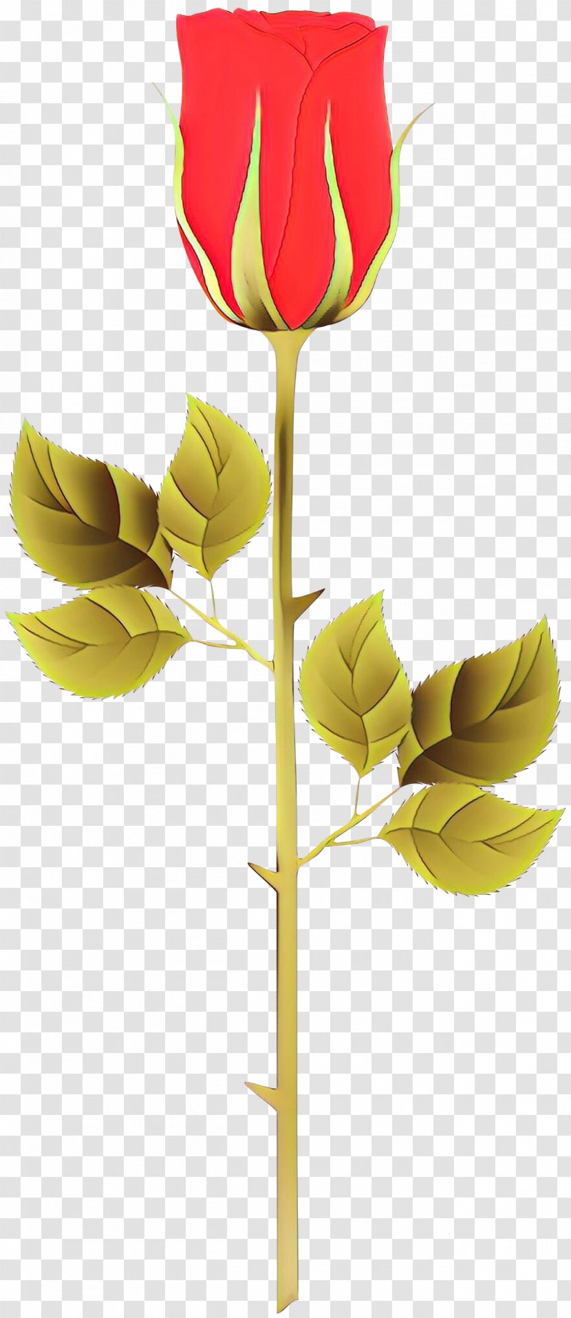 Leaf Flower Yellow Plant Stem - Tulip - Bud Transparent PNG