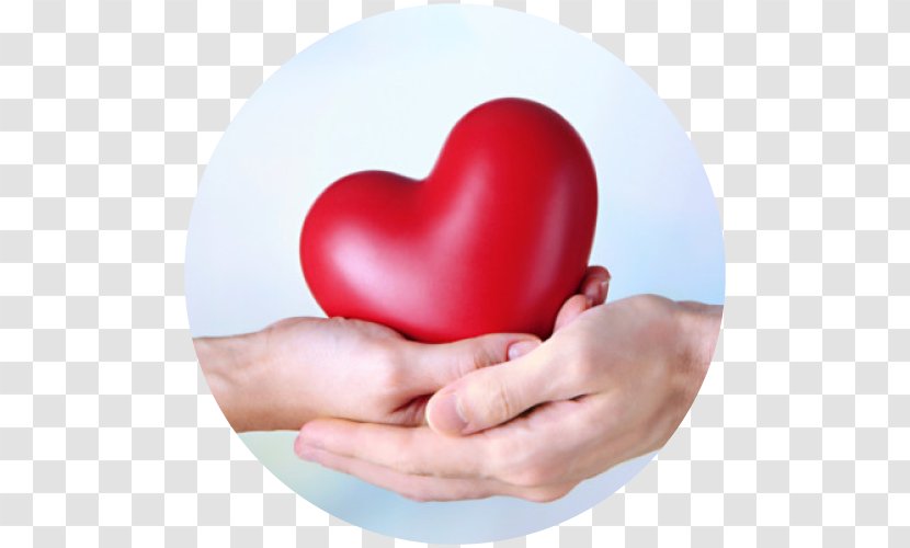 Heart Donation Foundation Organization - Cartoon Transparent PNG