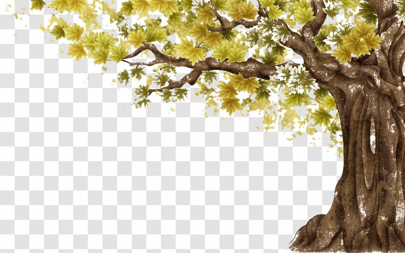 Tree - Wall - Twig Transparent PNG