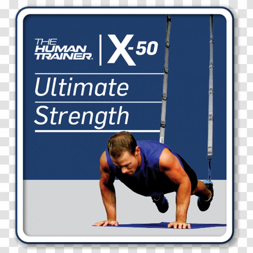 Physical Fitness Exercise Personal Trainer Strength Training Suspension Transparent PNG