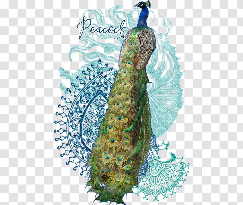 Pavo Costume Design Feather Tail - Galliformes - Pasley Transparent PNG