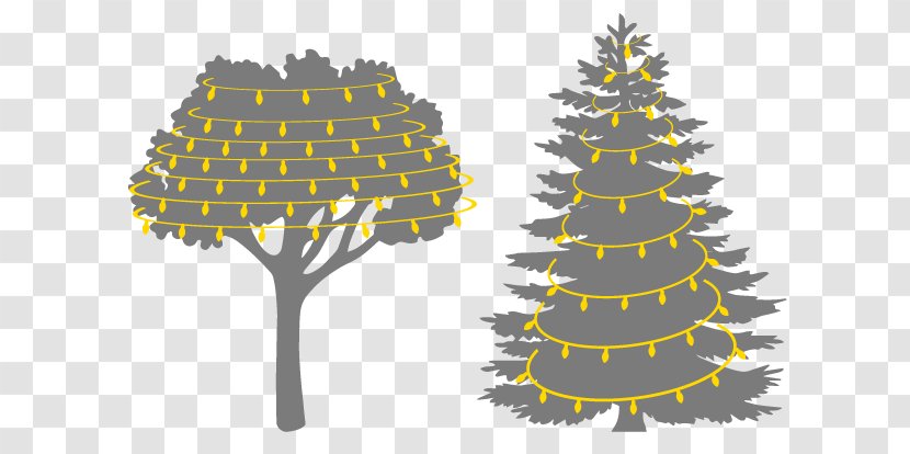 Pine Tree Evergreen Fir Conifers - Eastern White - Bright Christmas Lights Transparent PNG