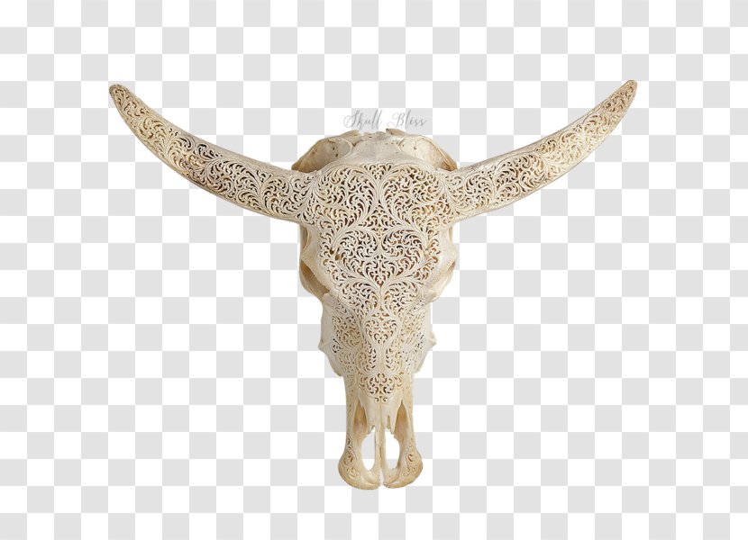 Animal Skulls Cattle XL Horns - Balinese People - Skull Transparent PNG