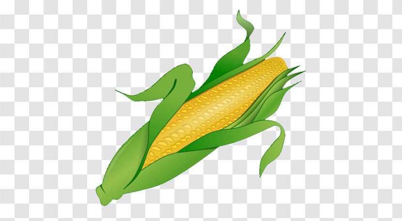 Corn On The Cob Candy Clip Art - Plant Transparent PNG