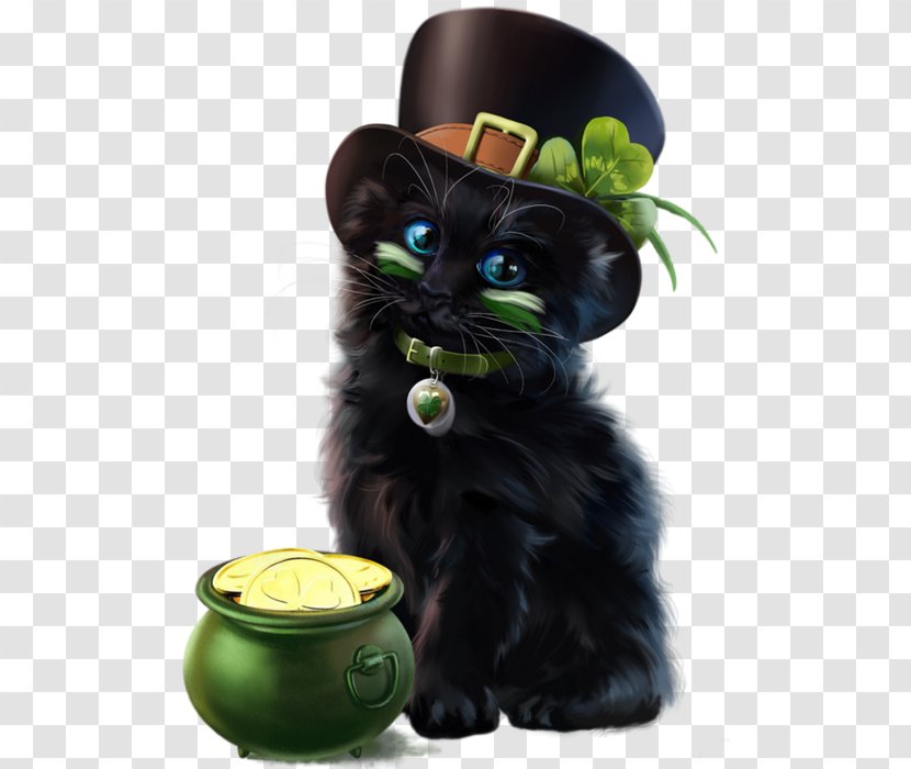 Black Cat Kitten Whiskers Snout - Saint Patrick Transparent PNG