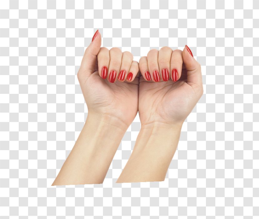 Hand Model Thumb Digit M Keyboard Motion - Human Anatomy Transparent PNG