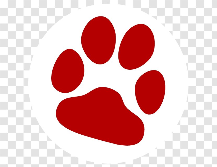 Dog Cat Clip Art Paw Vector Graphics - Pet Transparent PNG