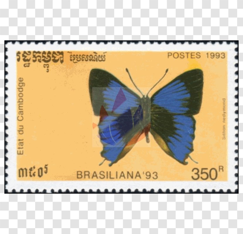 Brush-footed Butterflies Butterfly Postage Stamps Fauna Text Messaging - Stamp Transparent PNG
