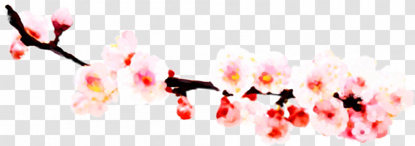 Icon - Branch - Plum Flower Transparent PNG