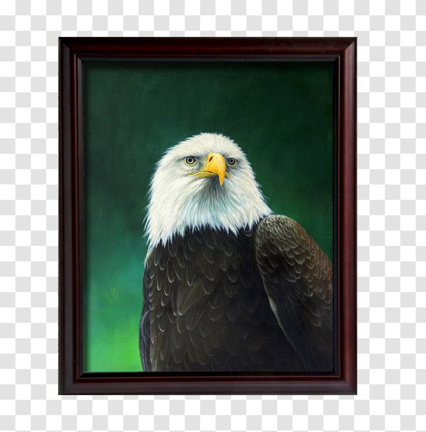 Bald Eagle Painting - Living Room - American Golden Decorative Transparent PNG