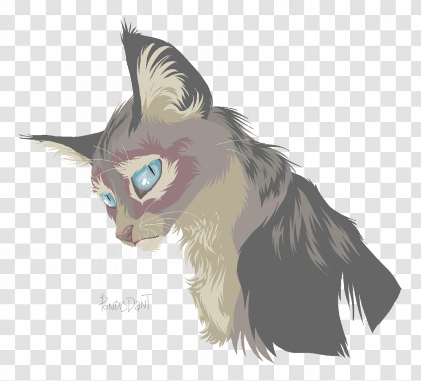 Kitten Whiskers Cat Drawing Art Transparent PNG