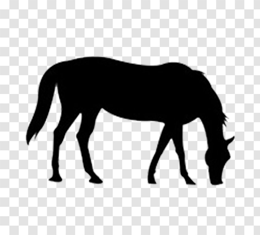 Clip Art - Horse - The Outline Of Transparent PNG