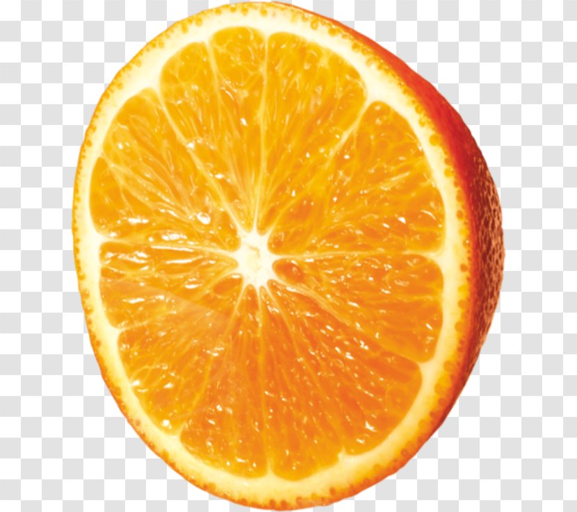Blood Orange Mandarin Tangelo Tangerine - Citrus - Pattern Transparent PNG