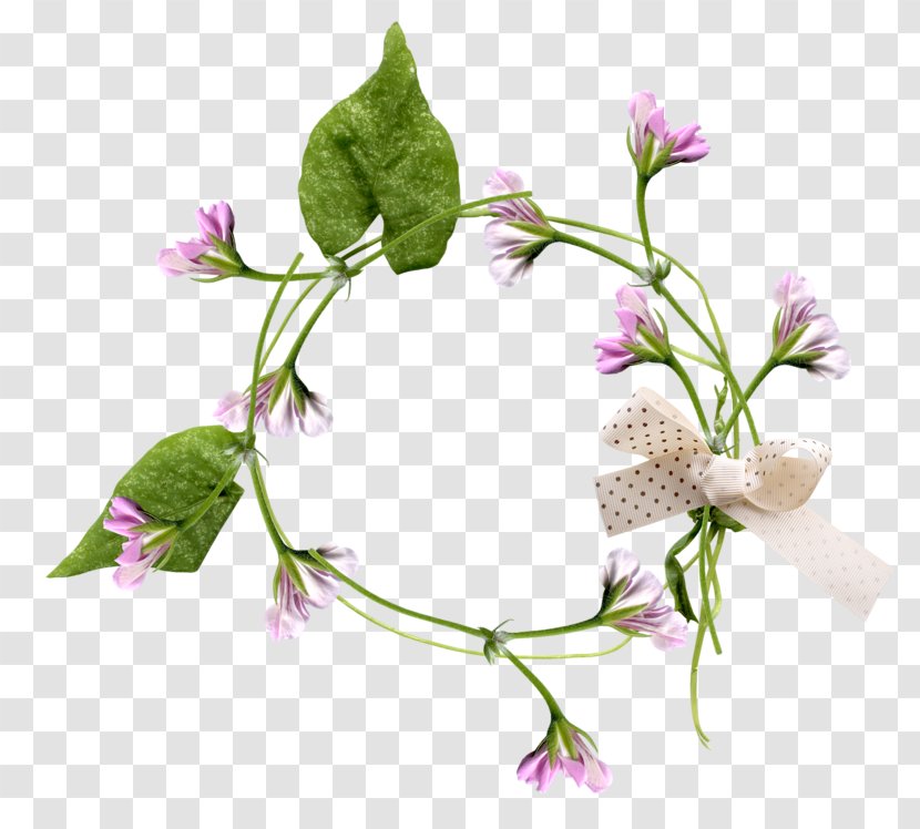 Floral Design Purple Wreath - Petal Transparent PNG