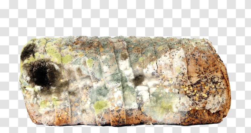 Rye Bread Mold Loaf Brown - Royaltyfree - Moldy Transparent PNG