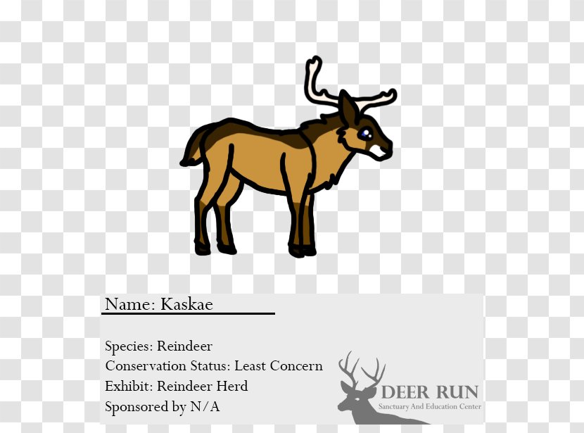 Cattle Reindeer Antelope Elk - Animal Figure Transparent PNG