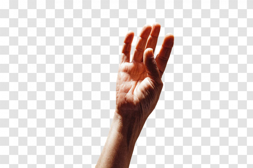 Sign Language Hand Model Joint Language Hand Transparent PNG