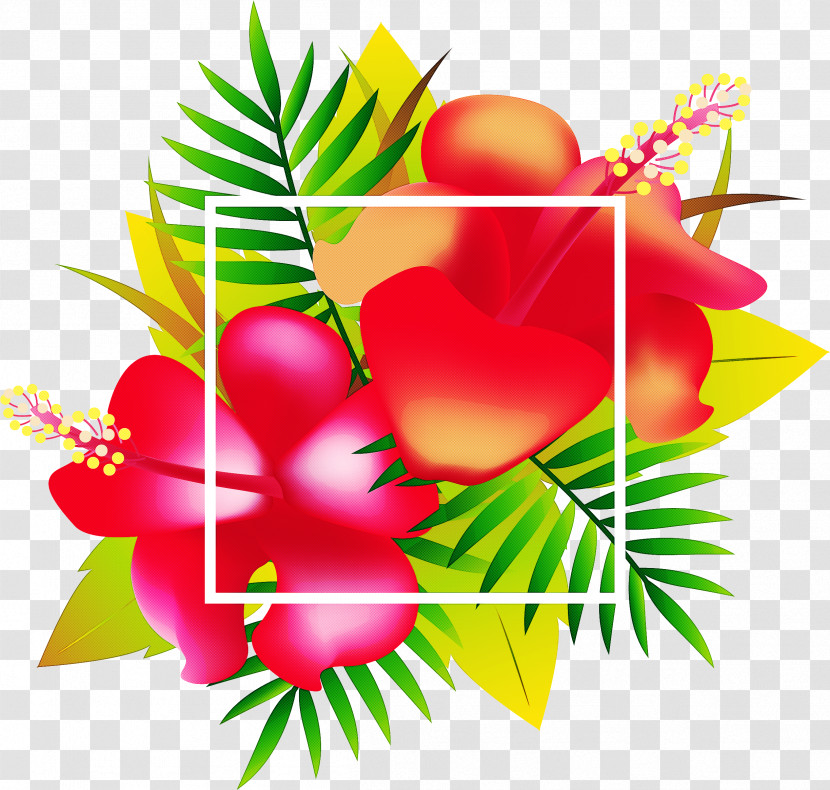 Leaf Plant Flower Transparent PNG