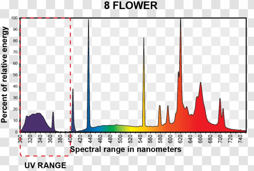 Grow Light Fluorescent Lamp Incandescent Bulb Fluorescence - Heat Transparent PNG