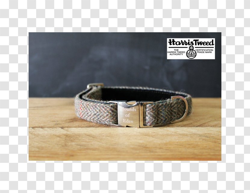 Dog Collar Belt Webbing - Hounds Of Eden Transparent PNG