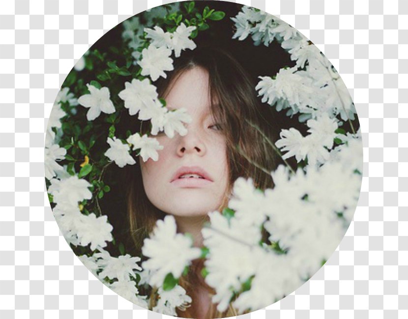 Flower Photography Photographer - Woman Transparent PNG